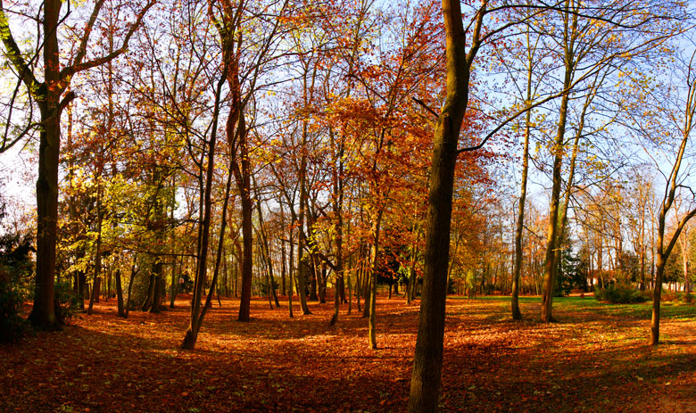 L'automne dans le parc du Château
