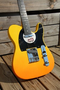 Guitare en Kit Harley Benton T-Style